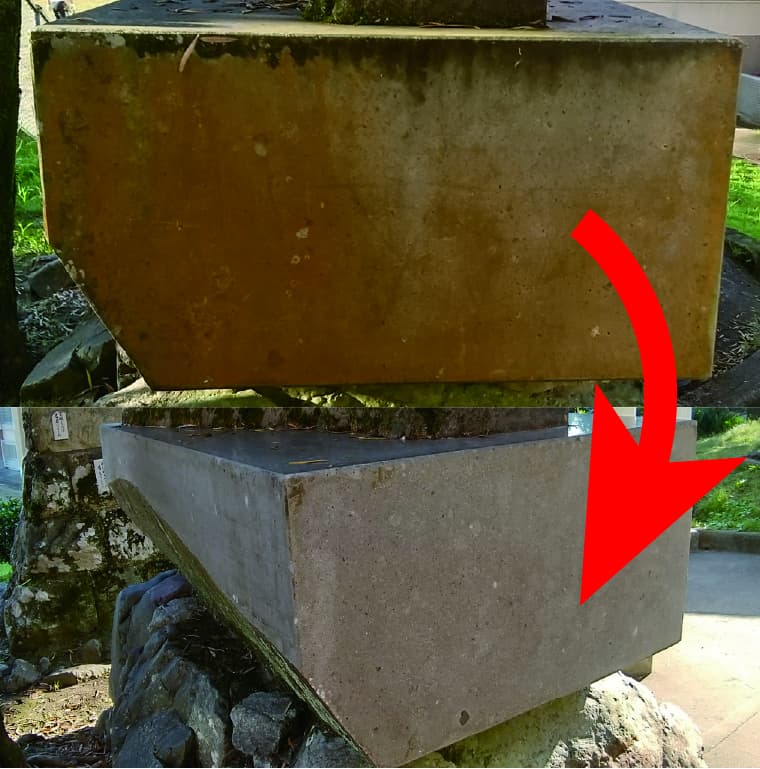 石造物に発生したコケ